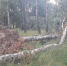 WhatsApp Image 2021-07-16 at 12.34.40.jpeg - Газета Ключ