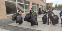 Экоактивисты собрали почти тонну вторсырья во Фрязине - Regions.Ru
