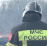 Возгорание травы на проспекте Мира оперативно потушили во Фрязине - Regions.Ru