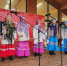 Песни, посвященные России, прозвучали на весь Фрязинский лесопарк - Regions.Ru